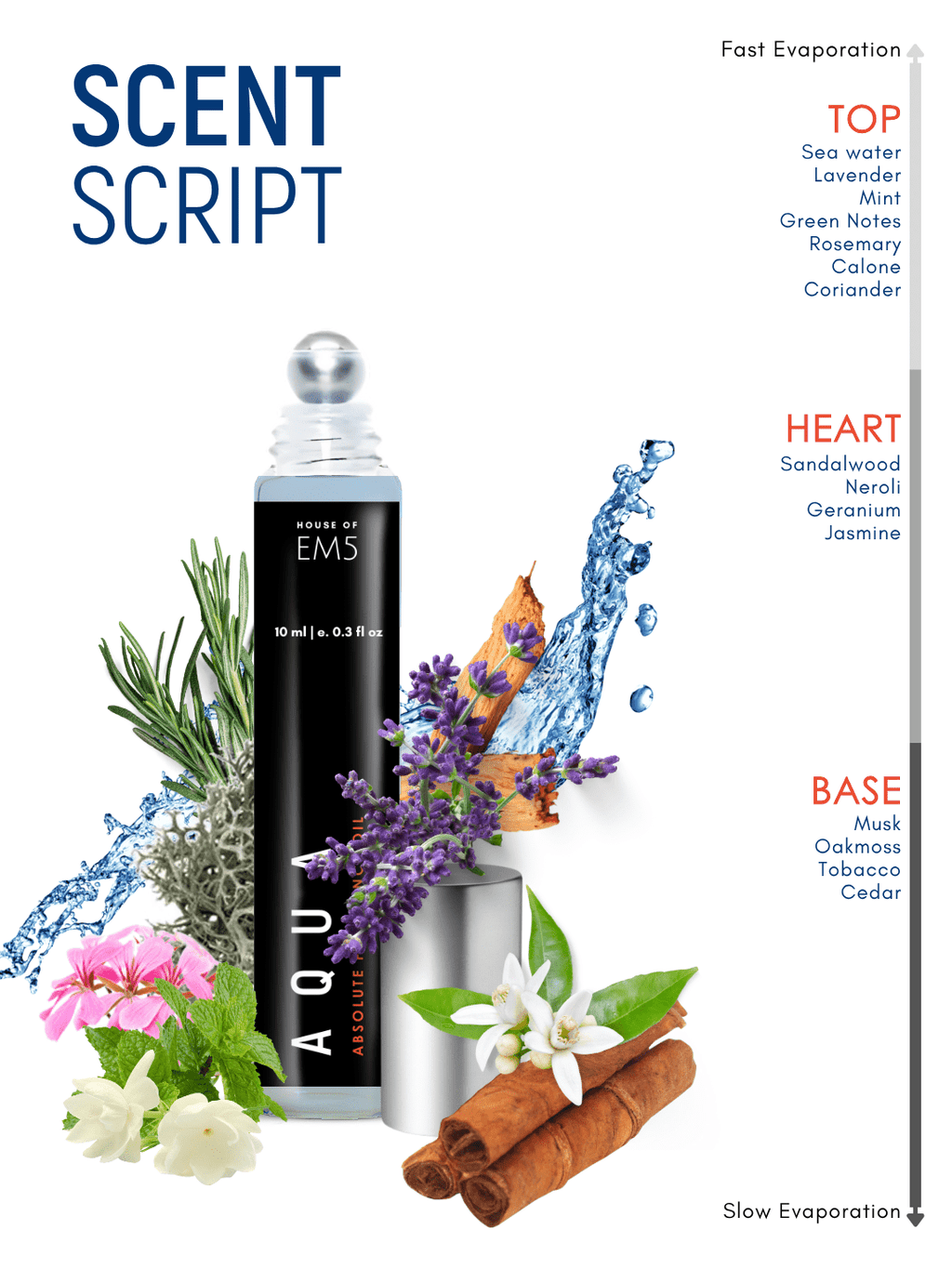 Aqua Perfume Roll-On