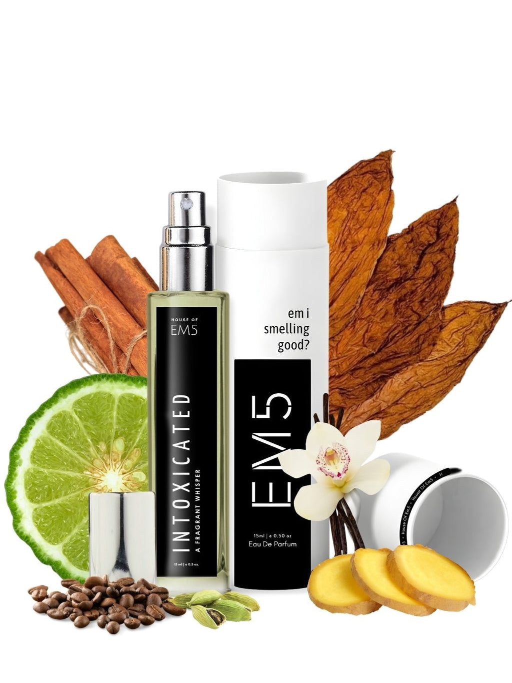 EM5™ Intoxicated Unisex Perfume | Eau de Parfum Spray for Men & Women | Cinnamon Warm Spicy Fragrance Accords | Luxury Gift for Him & Her | Sizes Available: 50 ml / 15 ml - House of EM5