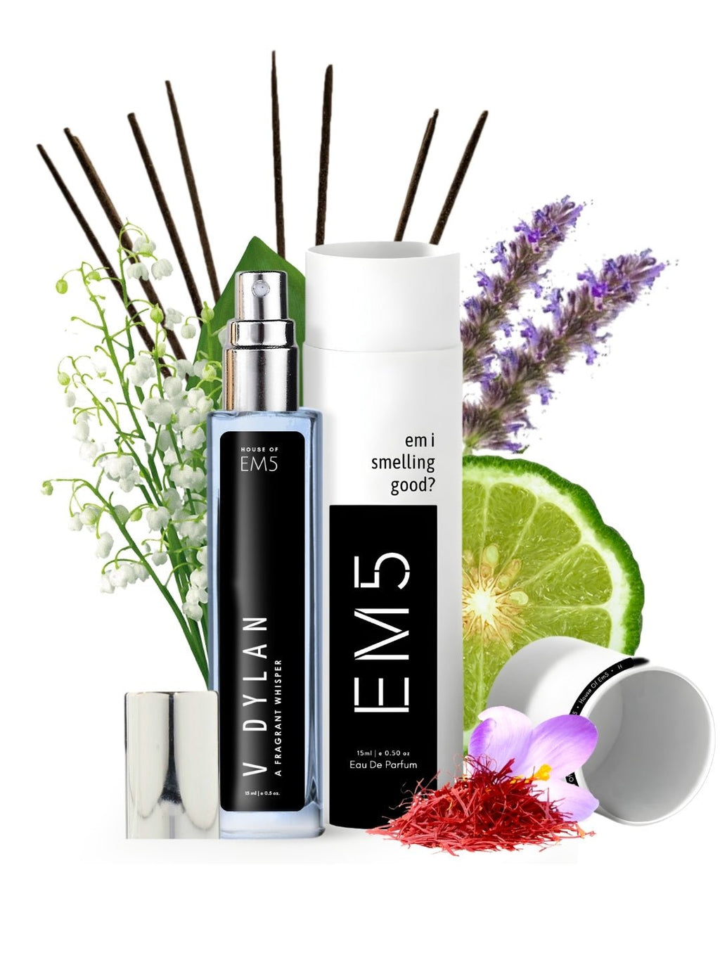 EM5™ V Dylan Perfume for Men | Eau De Parfum Spray | Aromatic Woody Fresh Fragrance Accords | Luxury Gift for Him | Sizes Available: 50 ml / 15 ml - House of EM5