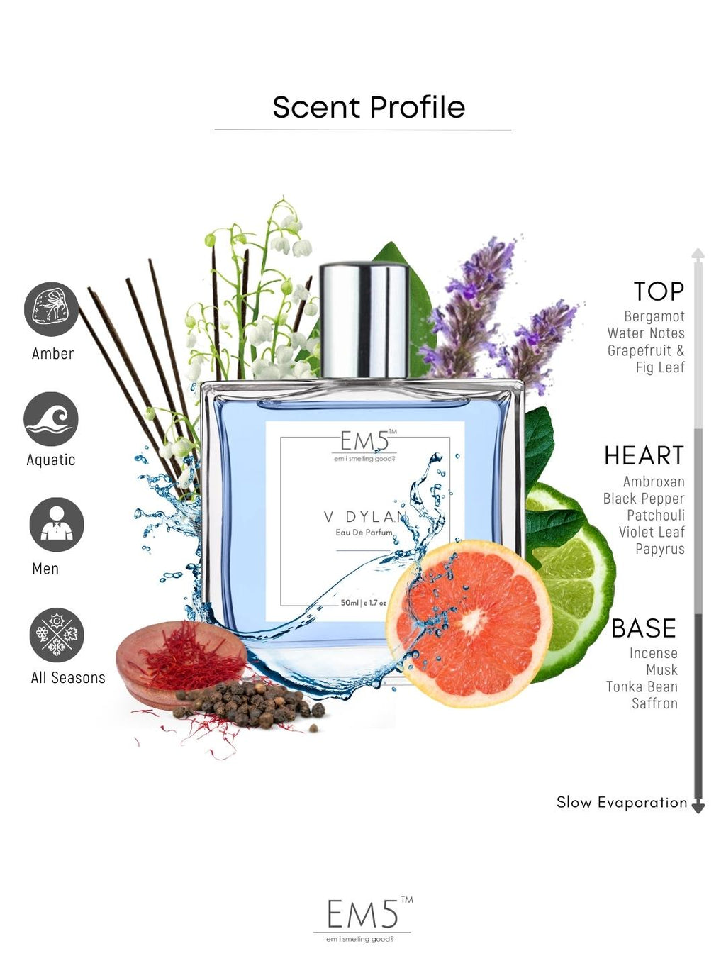 EM5™ V Dylan Perfume for Men | Eau De Parfum Spray | Aromatic Woody Fresh Fragrance Accords | Luxury Gift for Him | Sizes Available: 50 ml / 15 ml - House of EM5