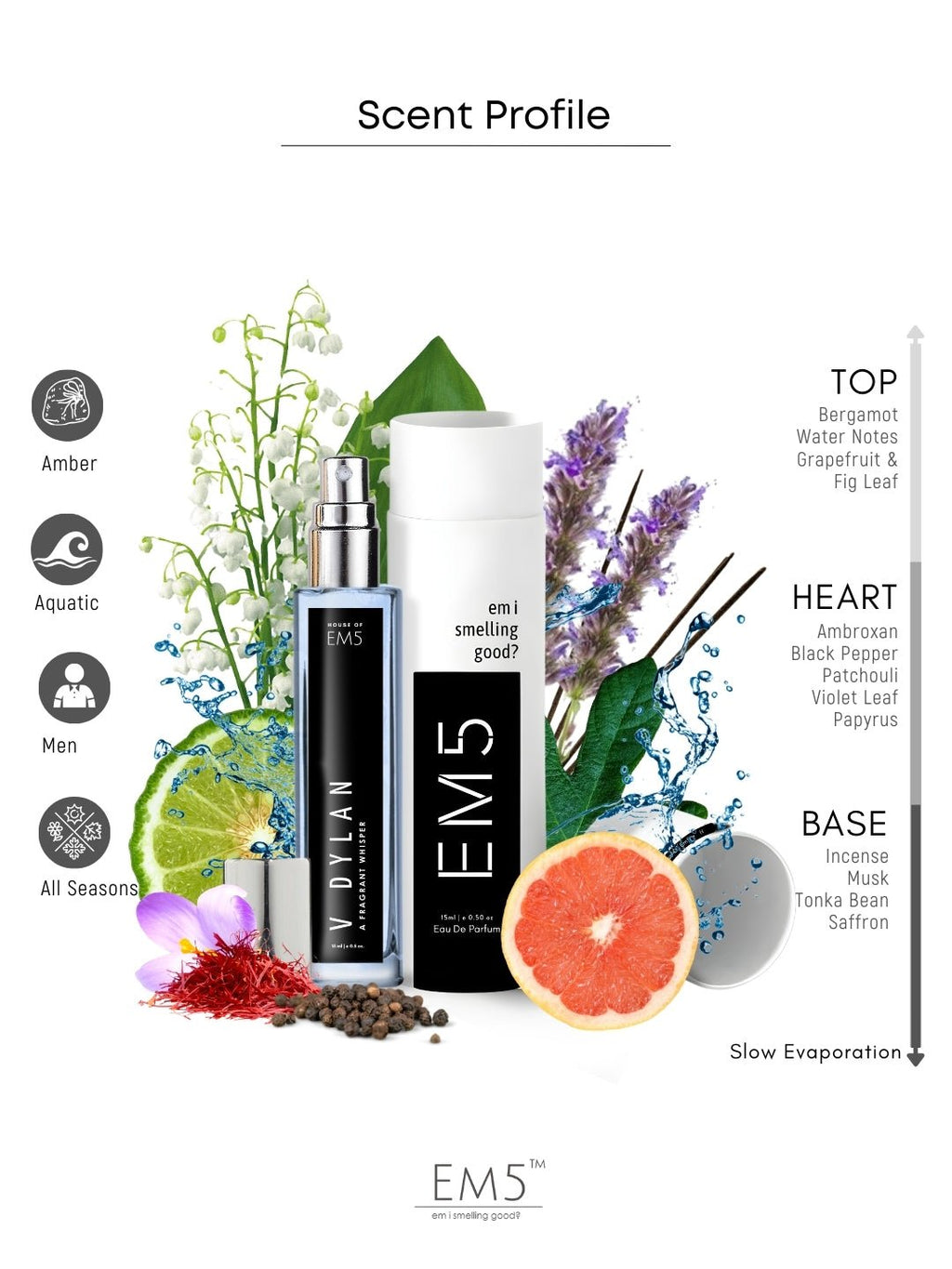 EM5™ V Dylan Perfume for Men | Eau De Parfum Spray | Aromatic Woody Fresh Fragrance Accords | Luxury Gift for Him | Sizes Available: 50 ml / 15 ml - House of EM5