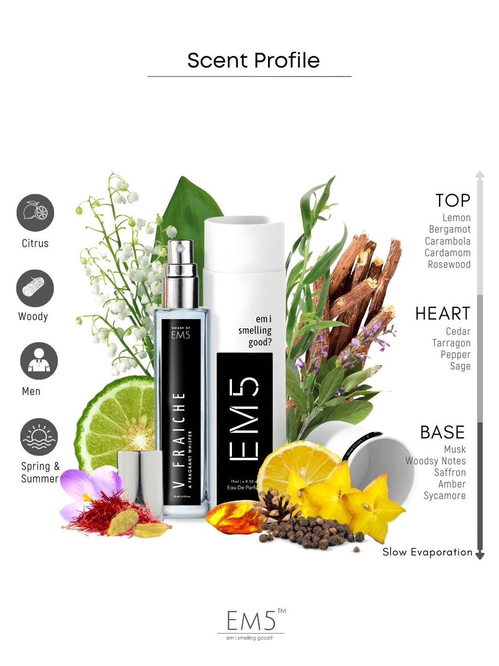 EM5™ V Fraiche Perfume for Men | Eau De Parfum Spray | Citrus Aromatic Woody Fragrance Accords | Luxury Gift for Him | Sizes Available: 50 ml / 15 ml - House of EM5