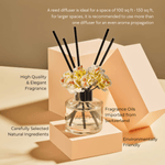 EM5™ Apple Bergamot Reed Diffuser (120 ml) | Scented Diffuser for Home & Aromatherapy | Natural Fragrance of Apple Bergamot | Lasts Upto 45 to 60 days & Smokeless | 8 Reeds with Diffuser Jar & Oil - House of EM5