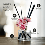 EM5™ Cafe Vanilla Reed Diffuser (120 ml) | Scented Diffuser for Home & Aromatherapy | Natural Fragrance of Vanilla | Lasts Upto 45 to 60 days & Smokeless | 8 Reeds with Diffuser Jar & Oil - House of EM5