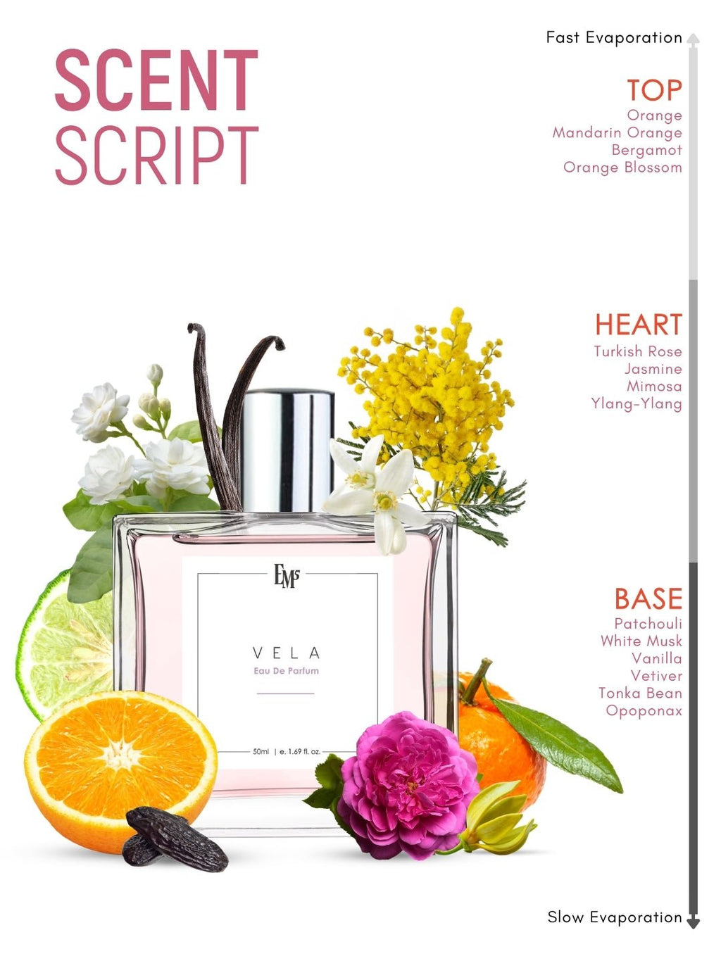 Vela | Eau De Parfum