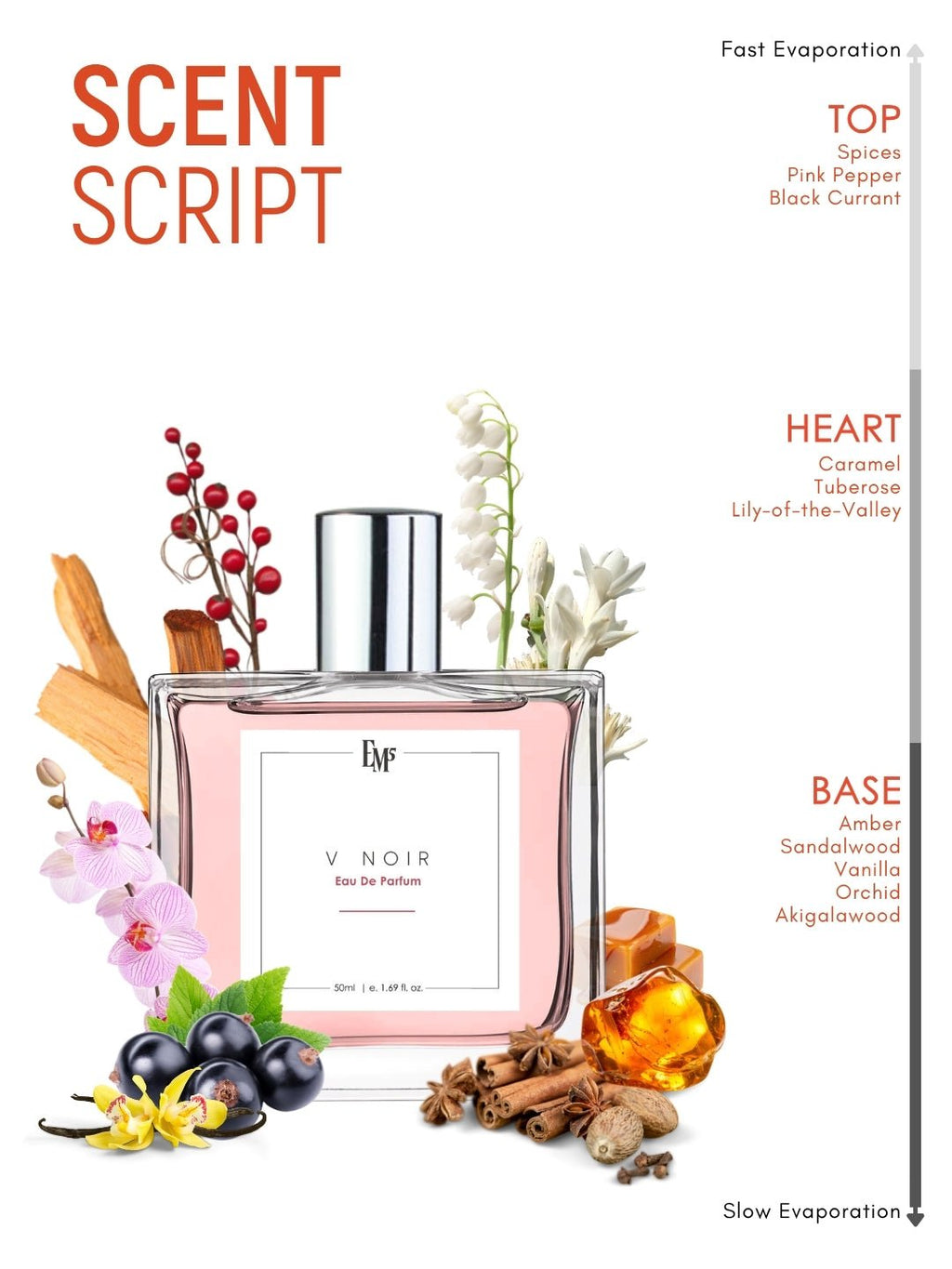V Noir | Eau De Parfum