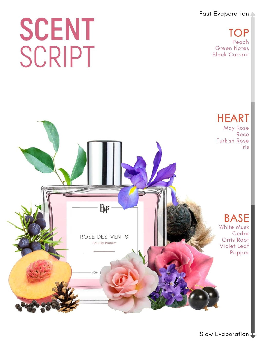 Rose Des Vents | Eau De Parfum