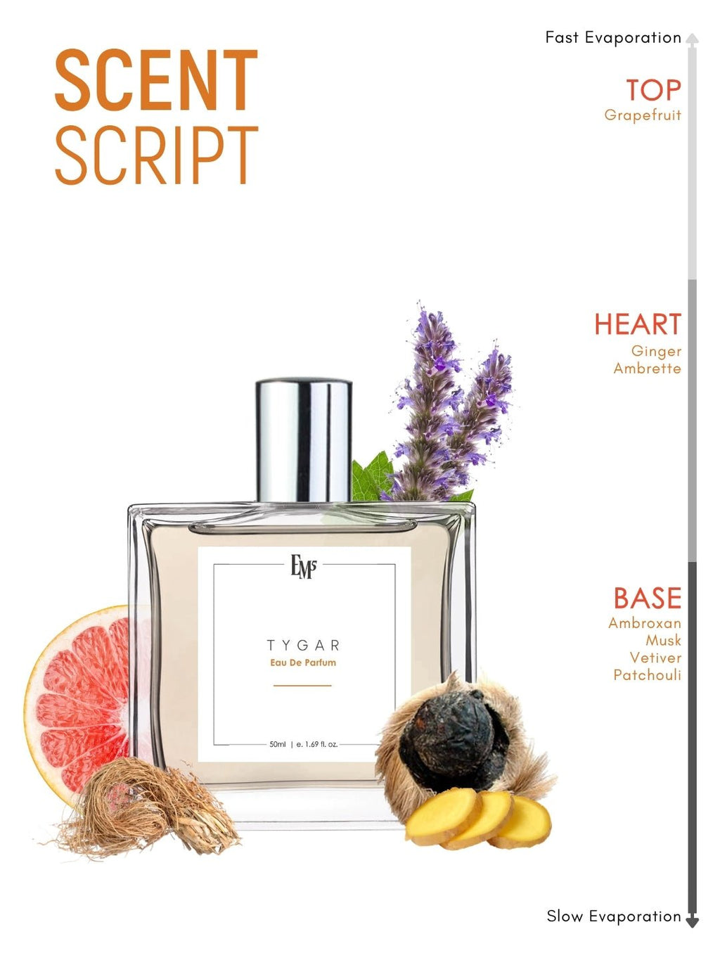Tygar | Eau De Parfum