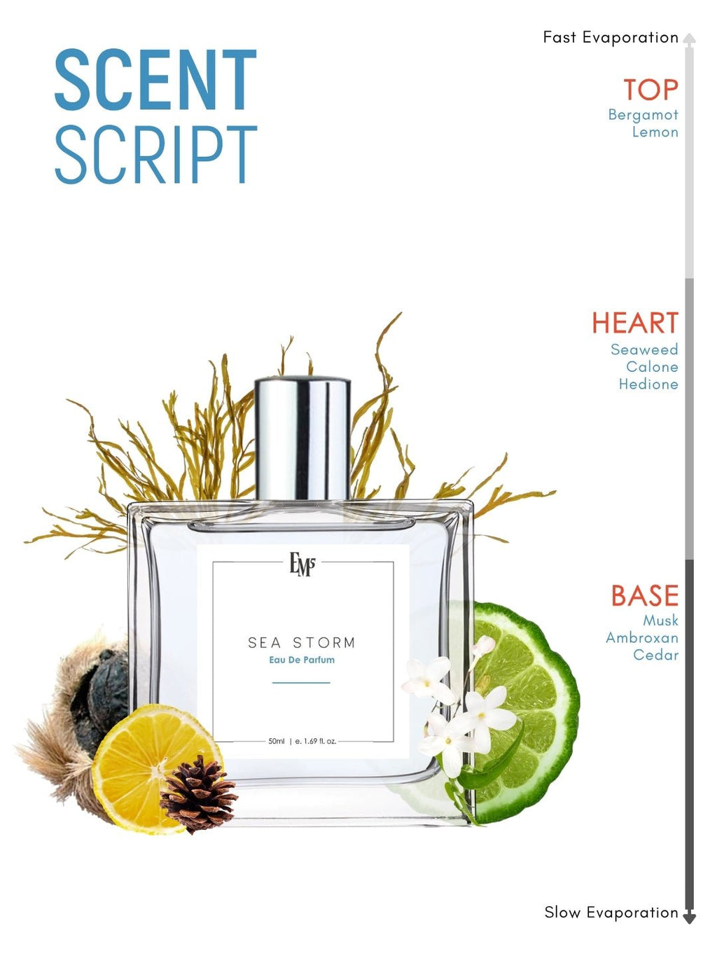 Sea Storm | Eau De Parfum