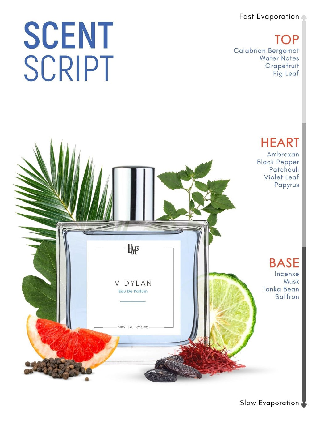 V Dylan | Eau De Parfum