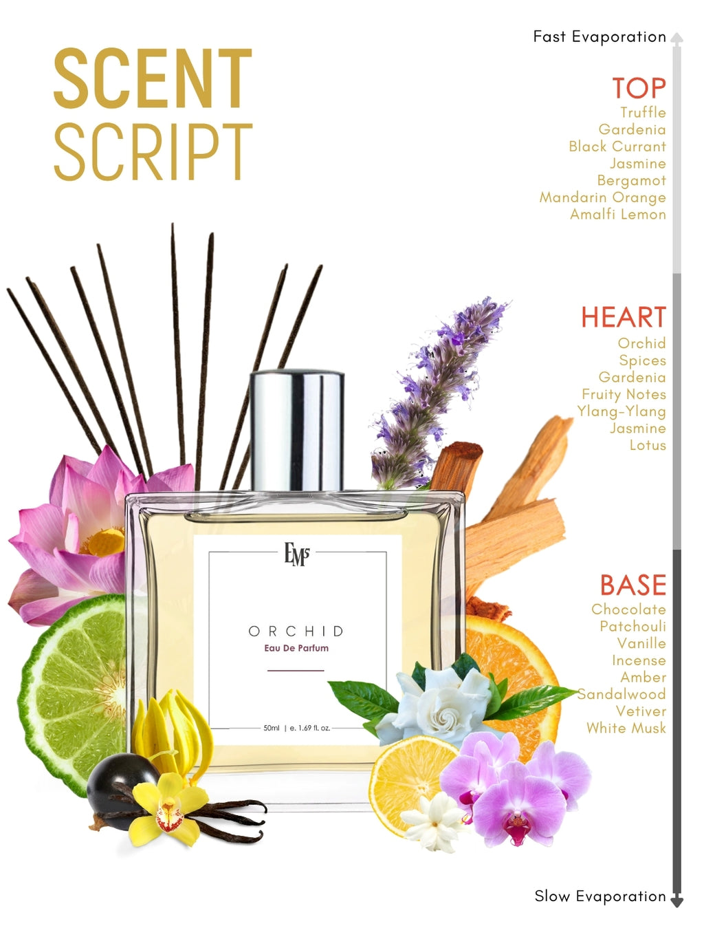 Orchid | Eau De Parfum