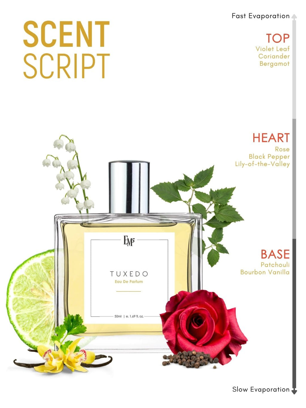 Tuxedo | Eau De Parfum