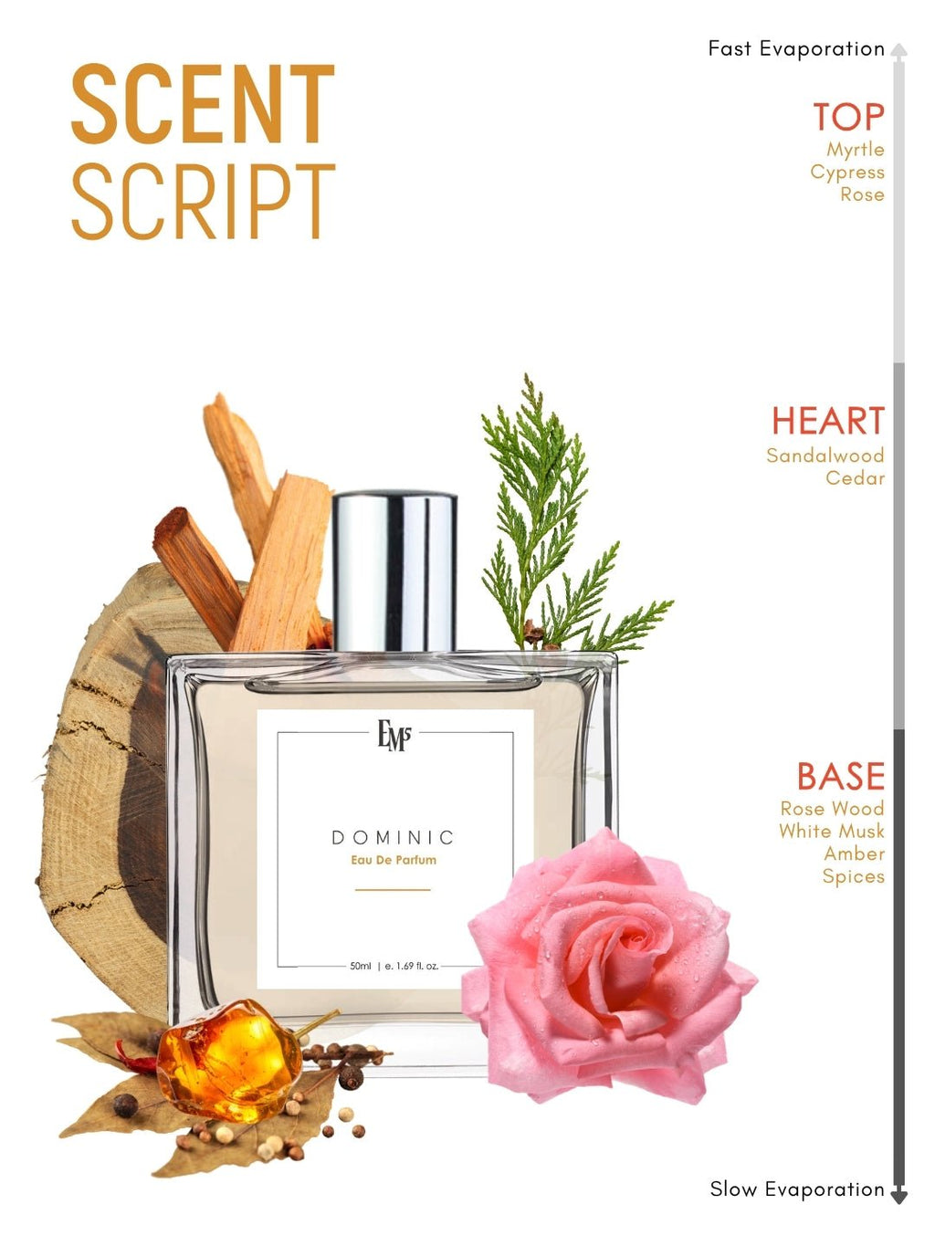 Dominic | Eau De Parfum