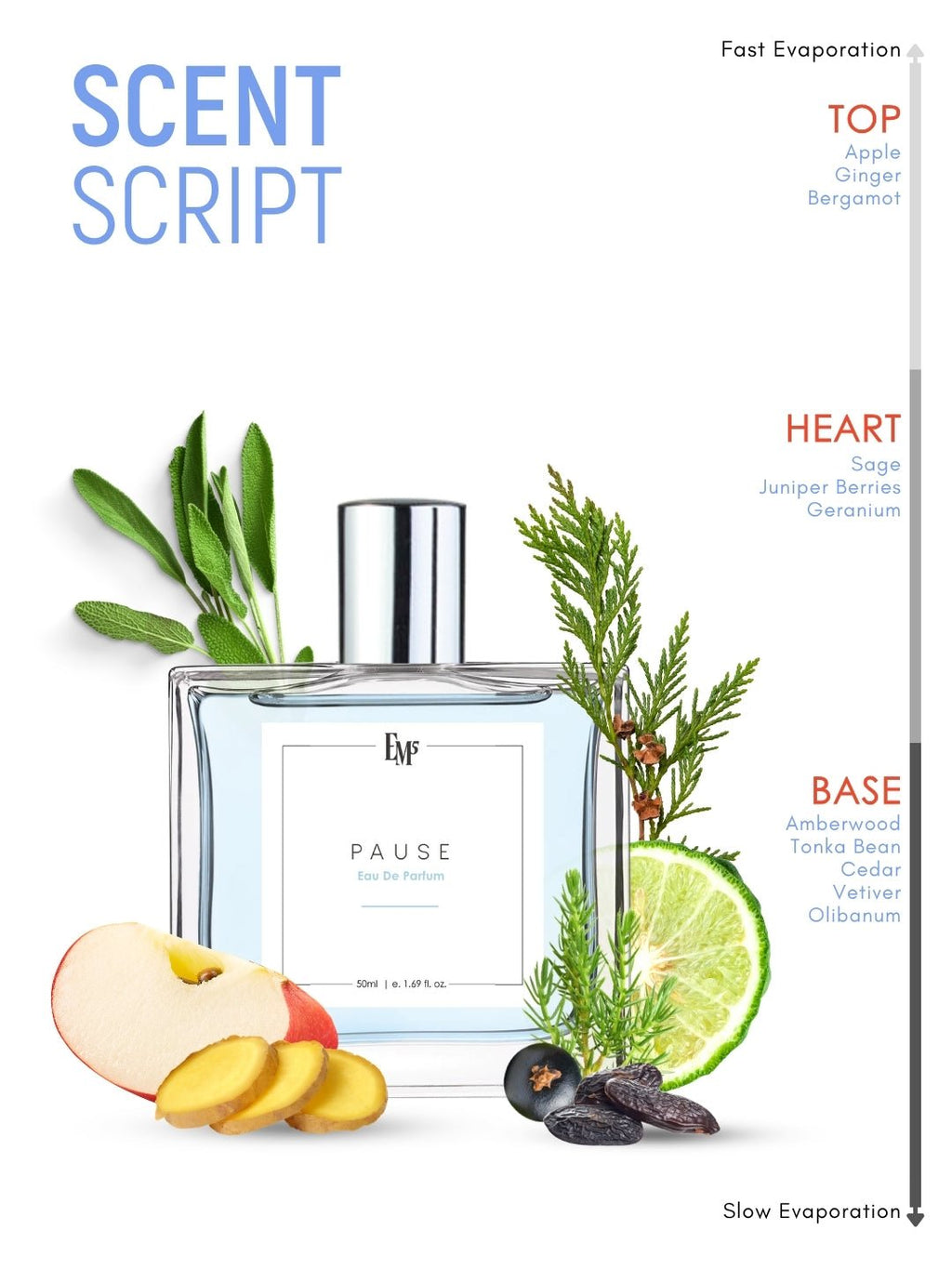 Pause | Eau De Parfum