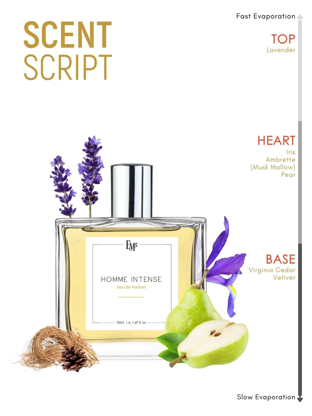 Homme Intense | Eau De Parfum