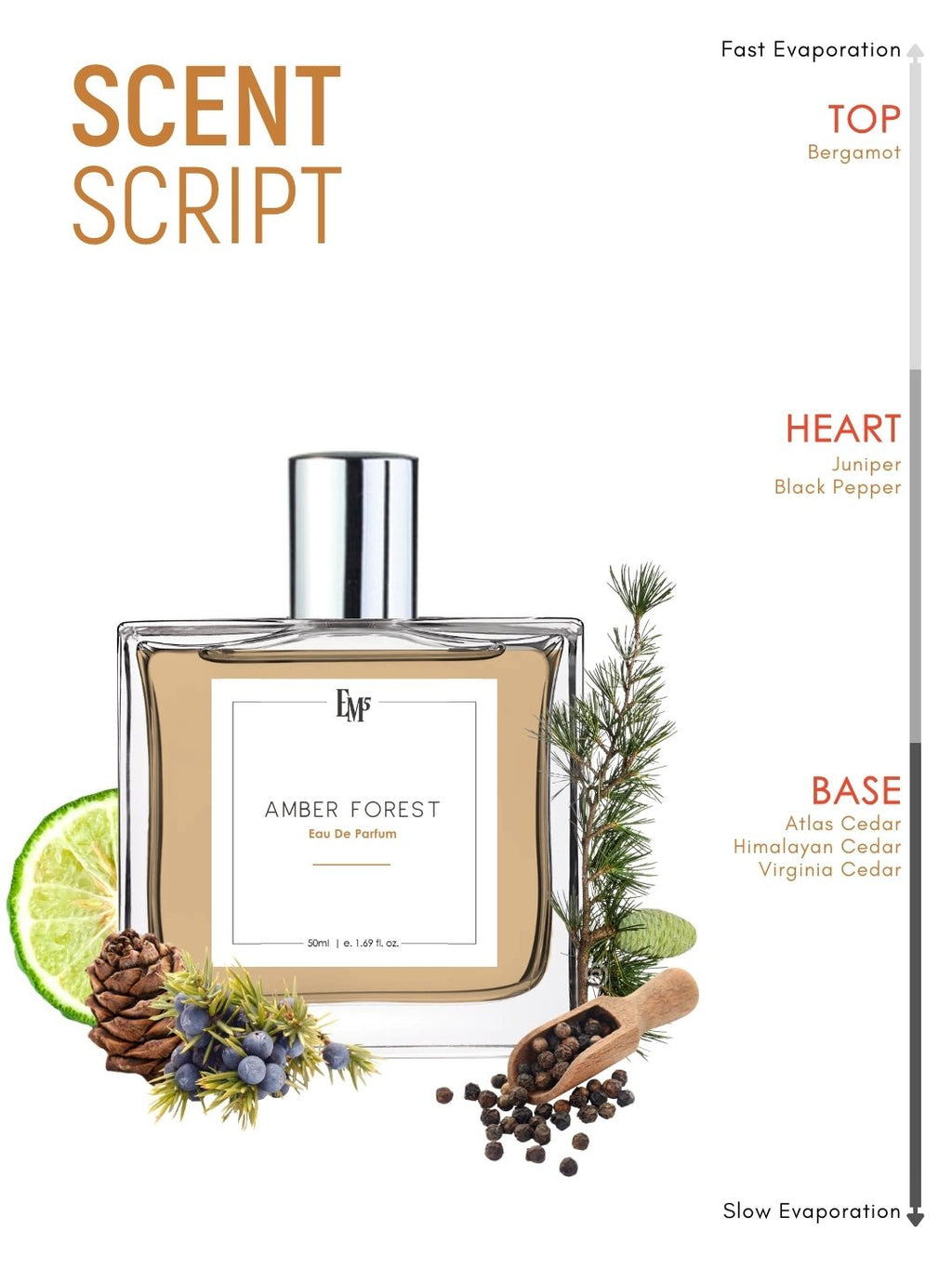 Amber Forest | Eau De Parfum