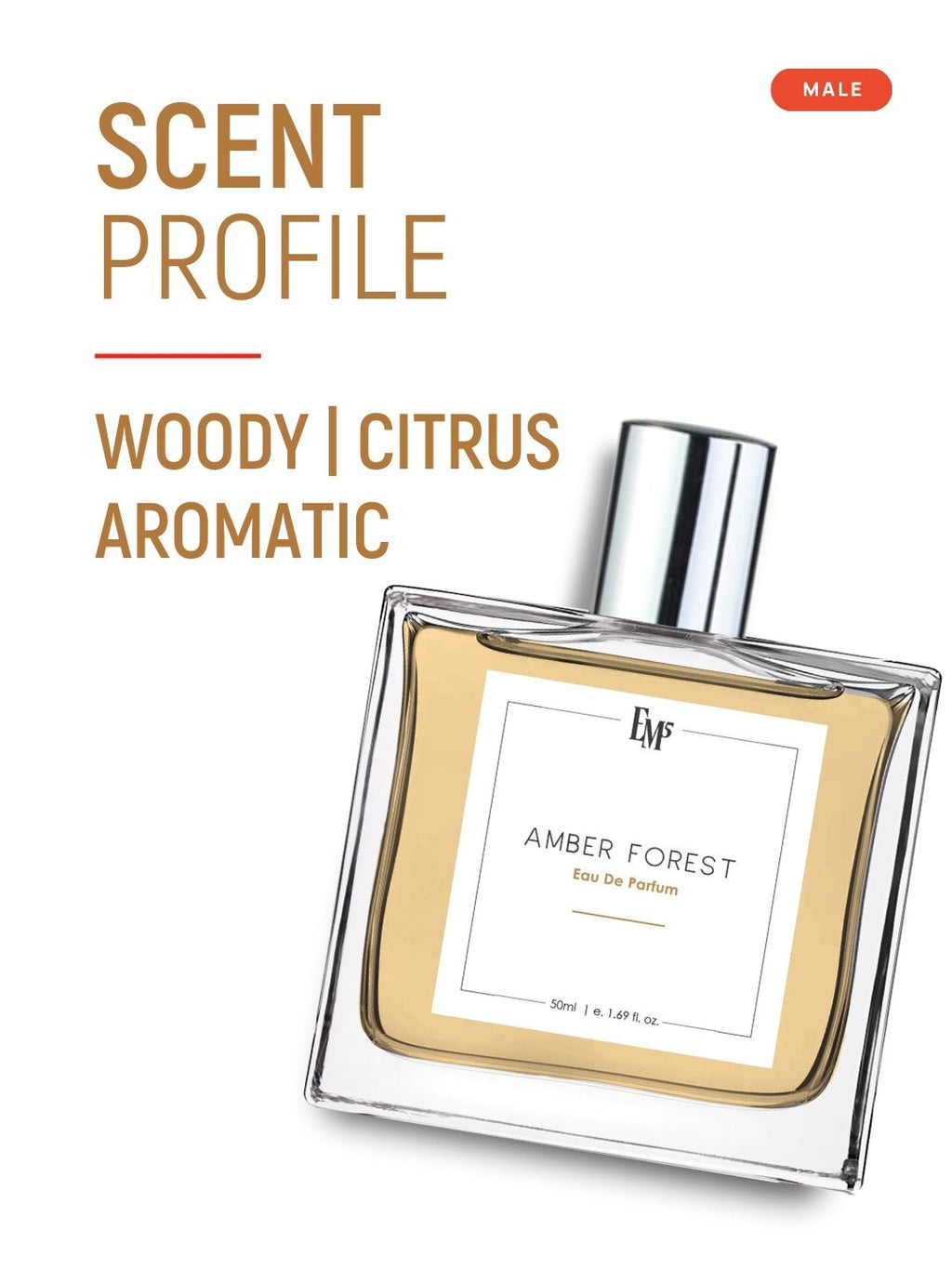 Amber Forest | Eau De Parfum