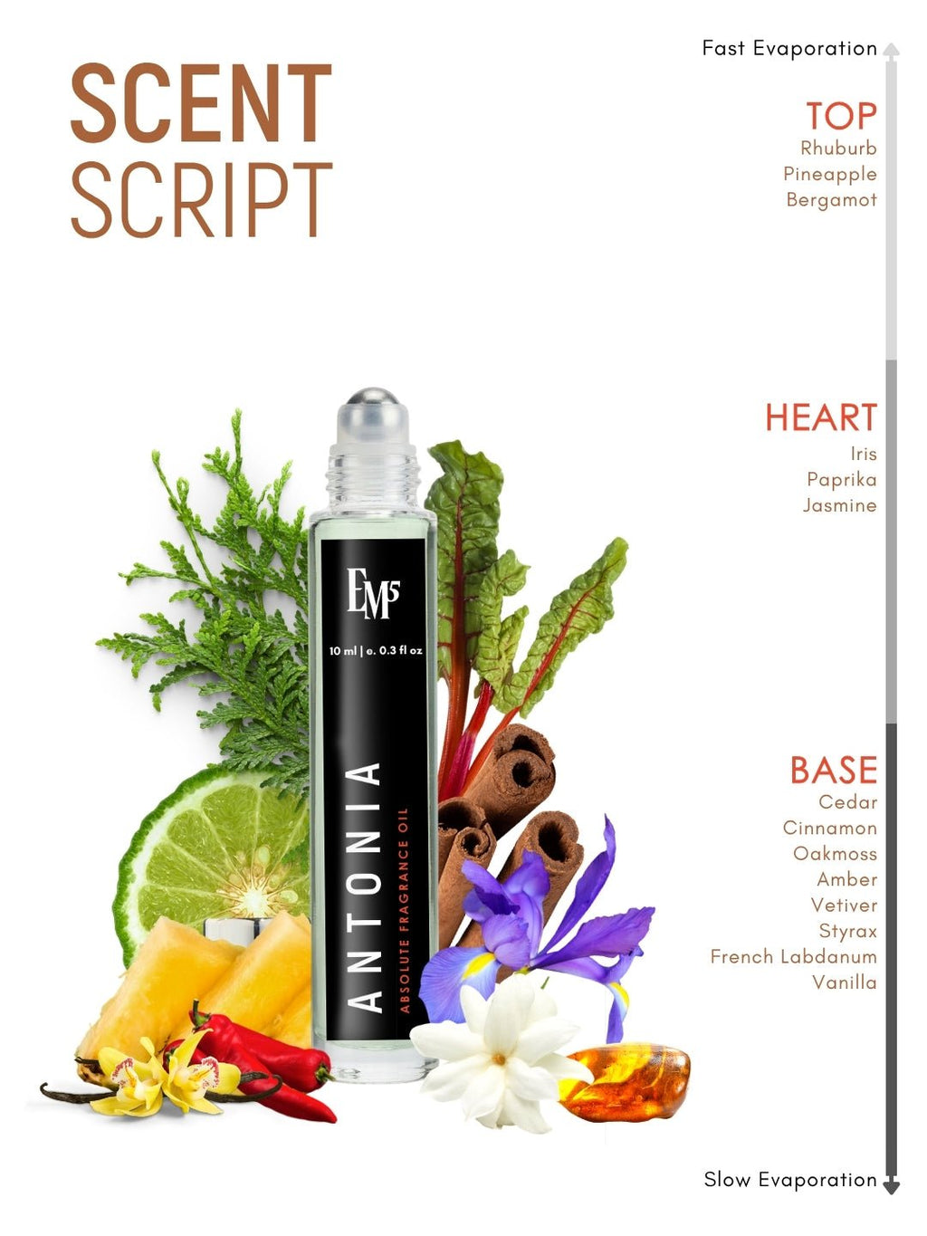 Antonia Perfume Roll-On