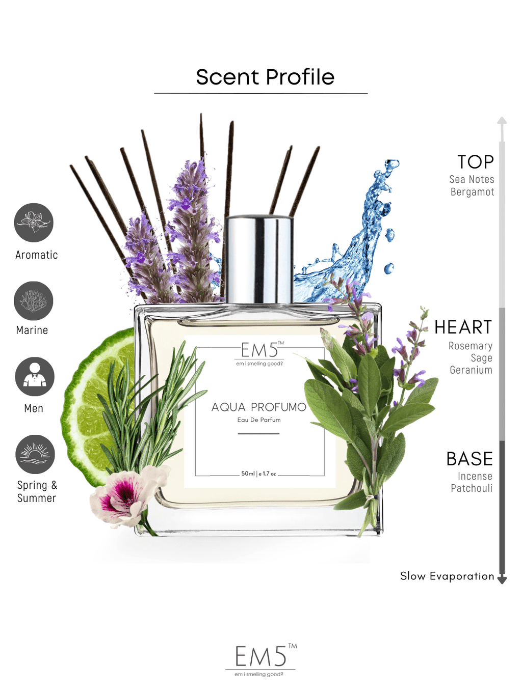Aqua Profumo | Eau De Parfum