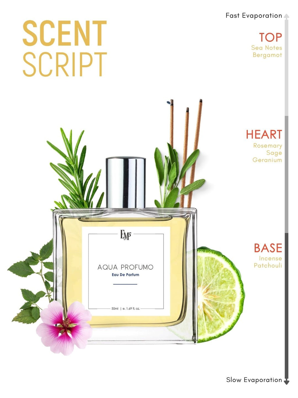 Aqua Profumo | Eau De Parfum