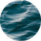 Aquatic
