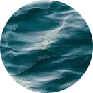Aquatic