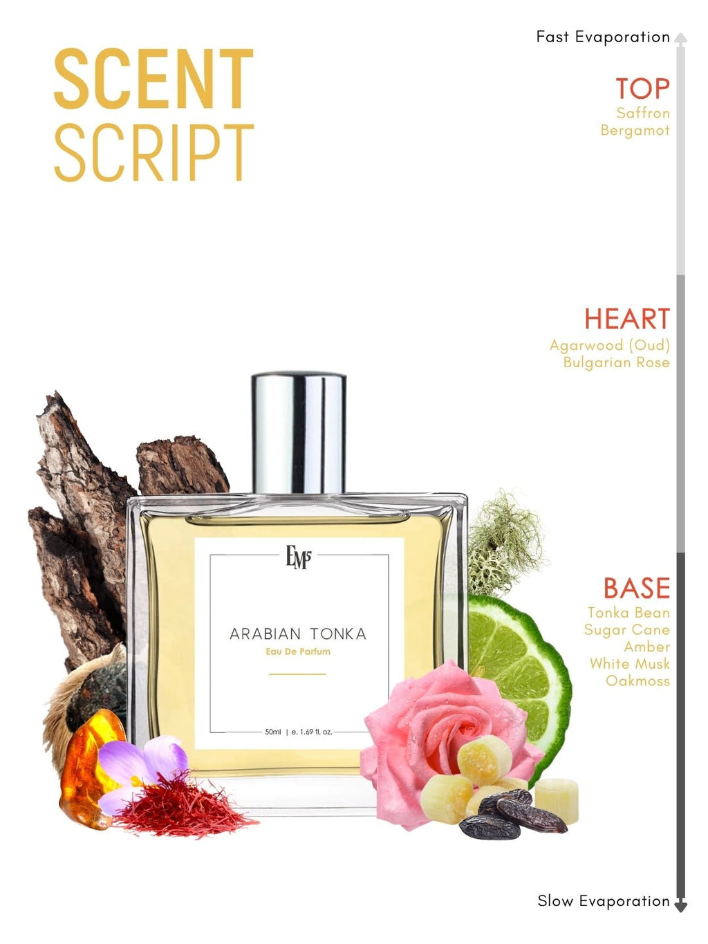 Arabian Tonka | Eau De Parfum