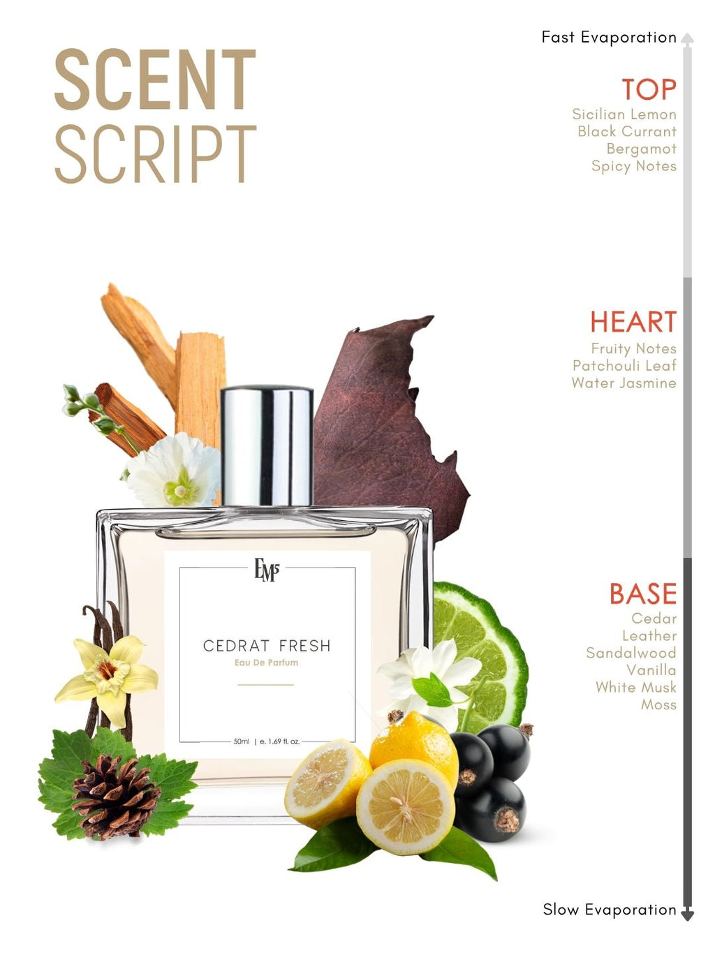 Cedrat Fresh | Eau De Parfum
