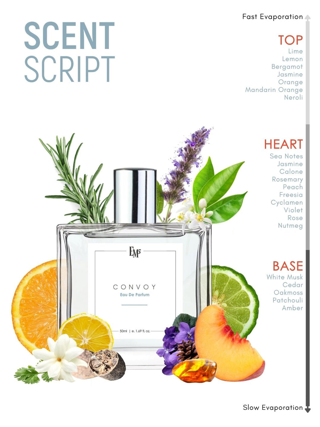 Convoy | Eau De Parfum