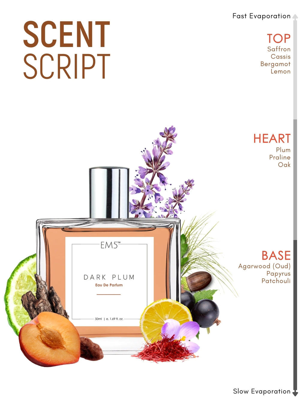 Dark Plum | Eau De Parfum