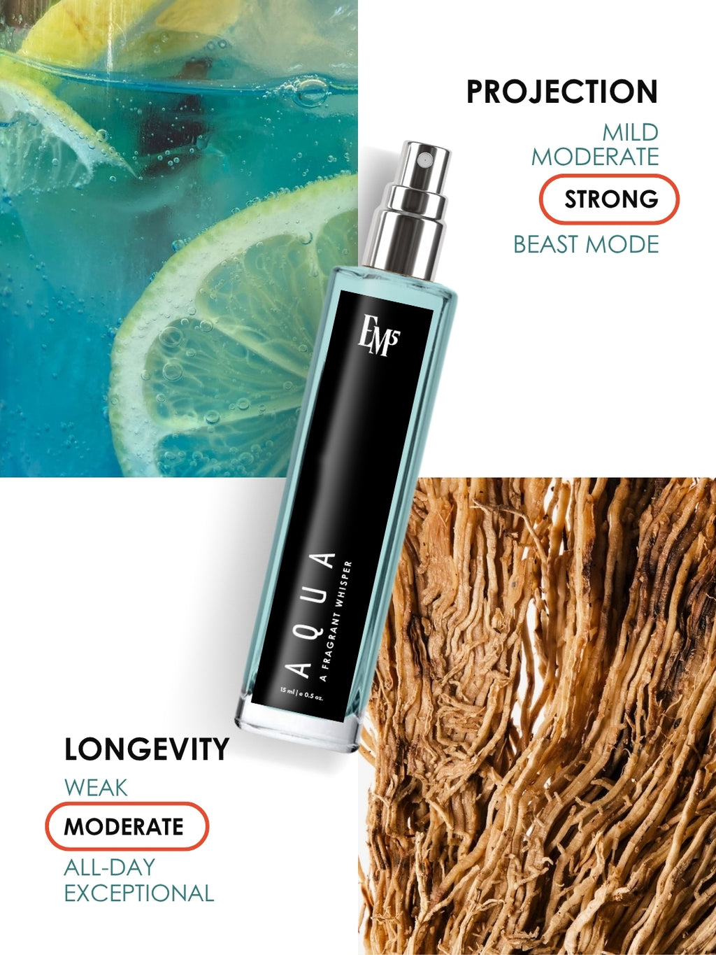 Aqua & Constant | Discovery Set