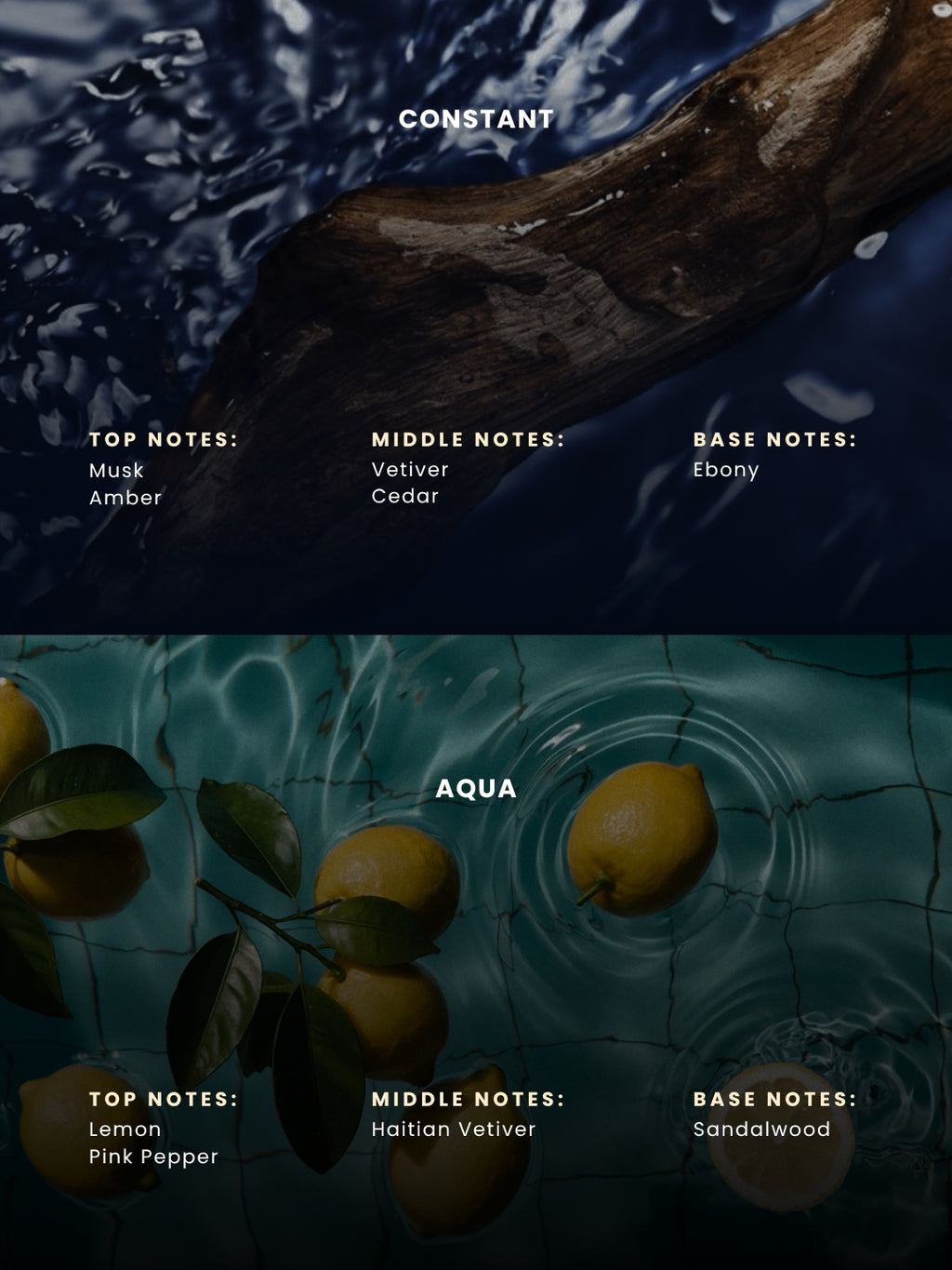 Aqua & Constant | Discovery Set