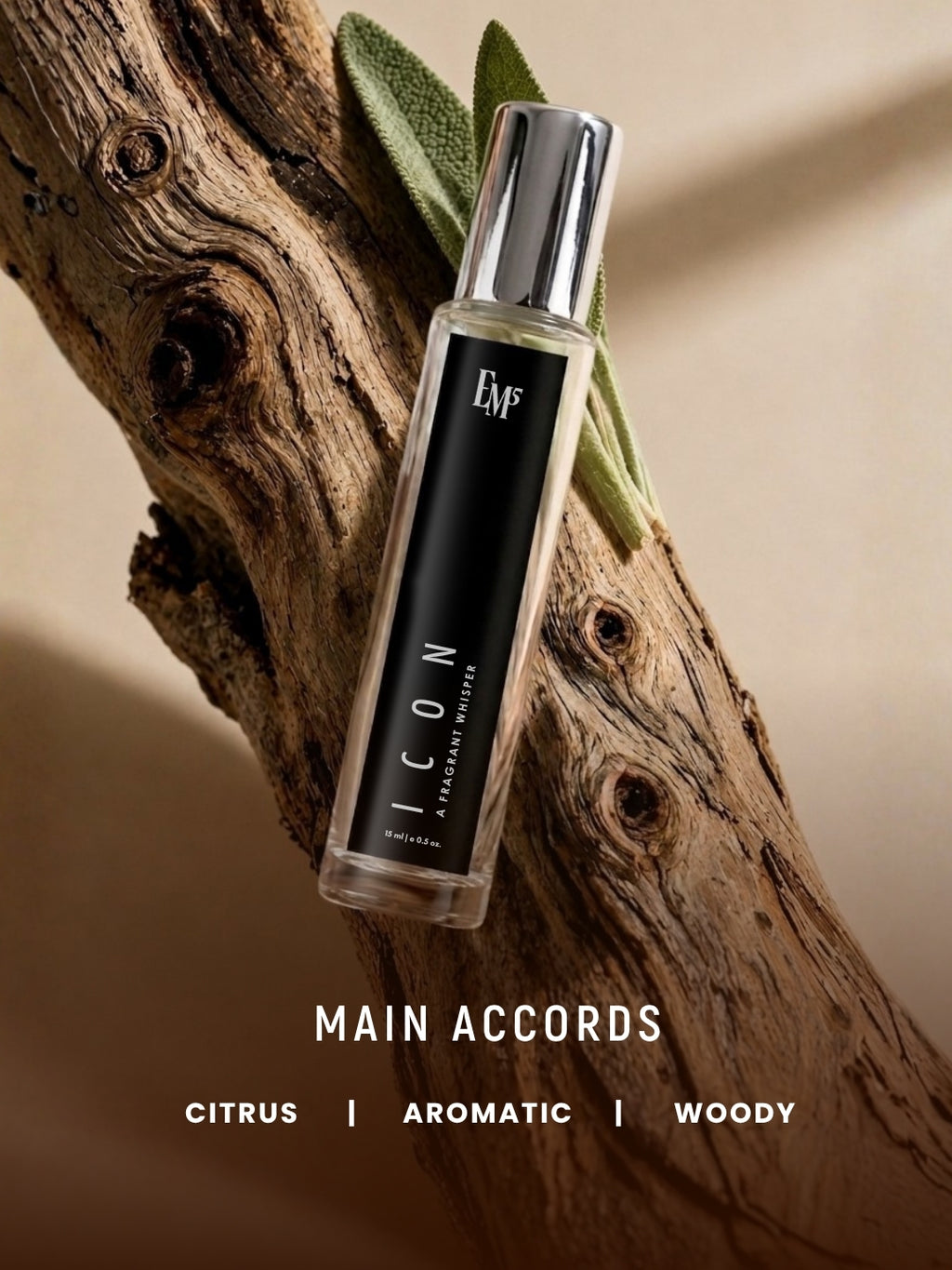 Icon & The Salt | Discovery Set