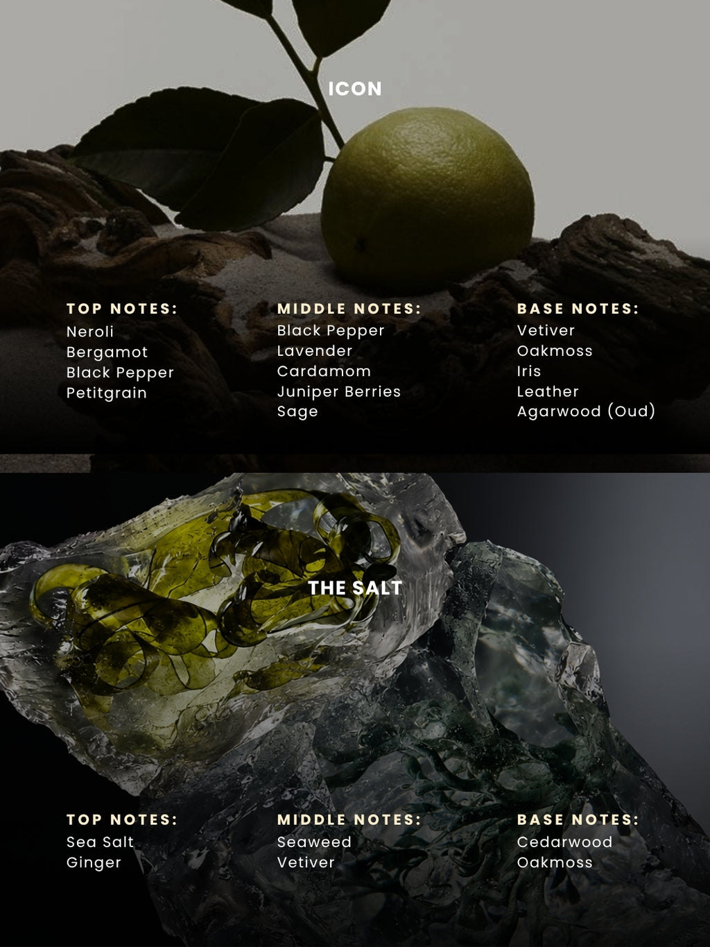 Icon & The Salt | Discovery Set