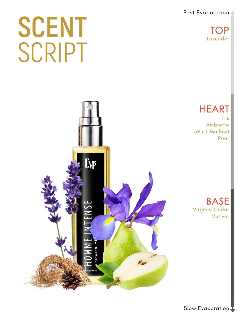 Homme Intense | Eau De Parfum