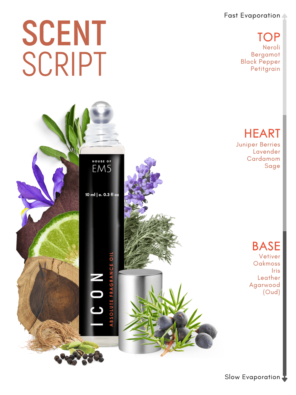 Icon Perfume Roll-On