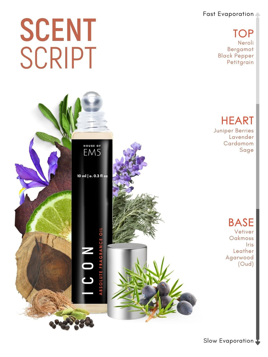 Icon Perfume Roll-On