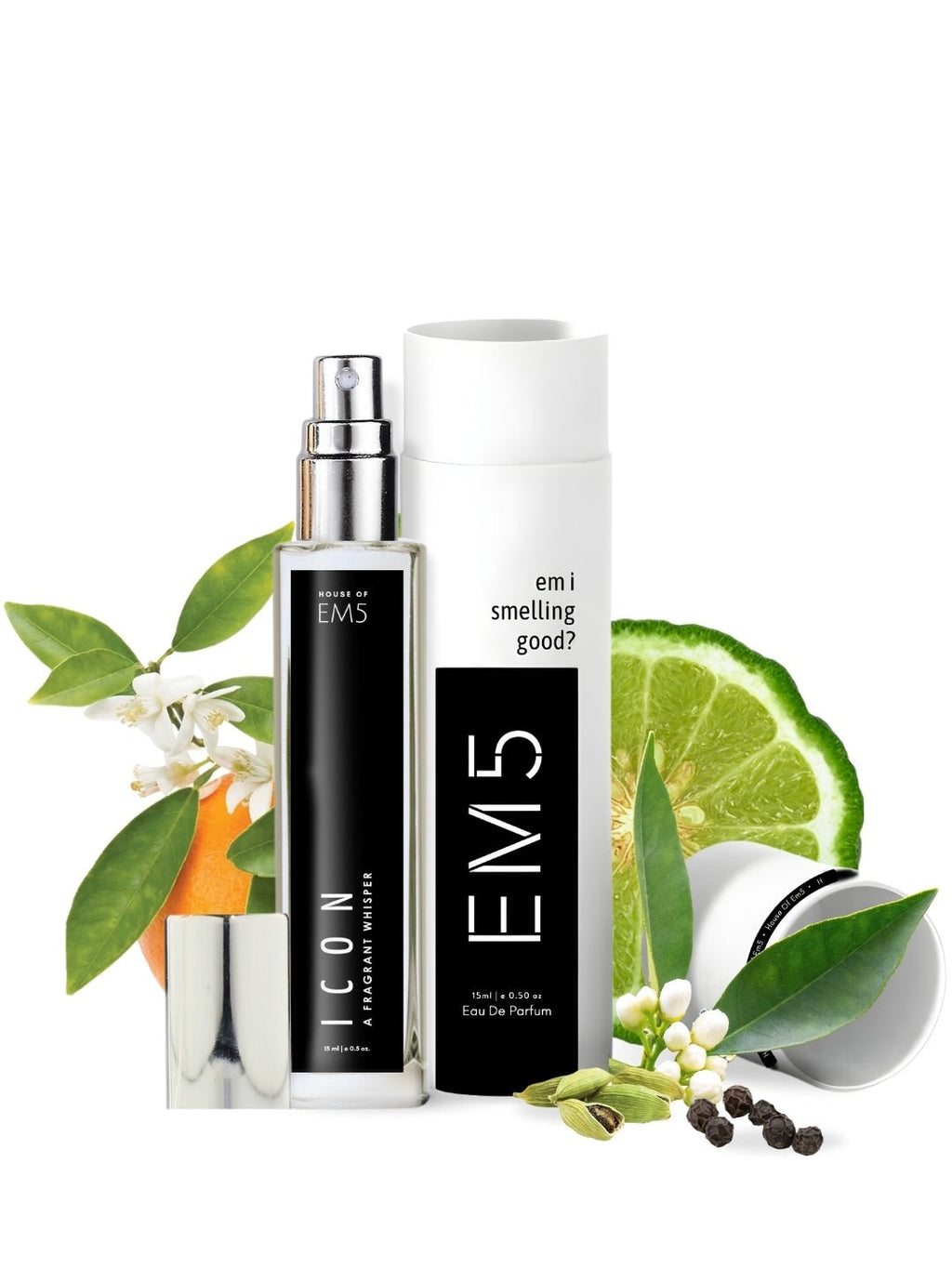 EM5™ Icon Perfume for Men |  Aromatic Citrus Fresh Spicy Fragrance Accords | Eau De Parfum Spray | Luxury Gift for Him | Sizes Available: 50 ml / 15 ml - House of EM5