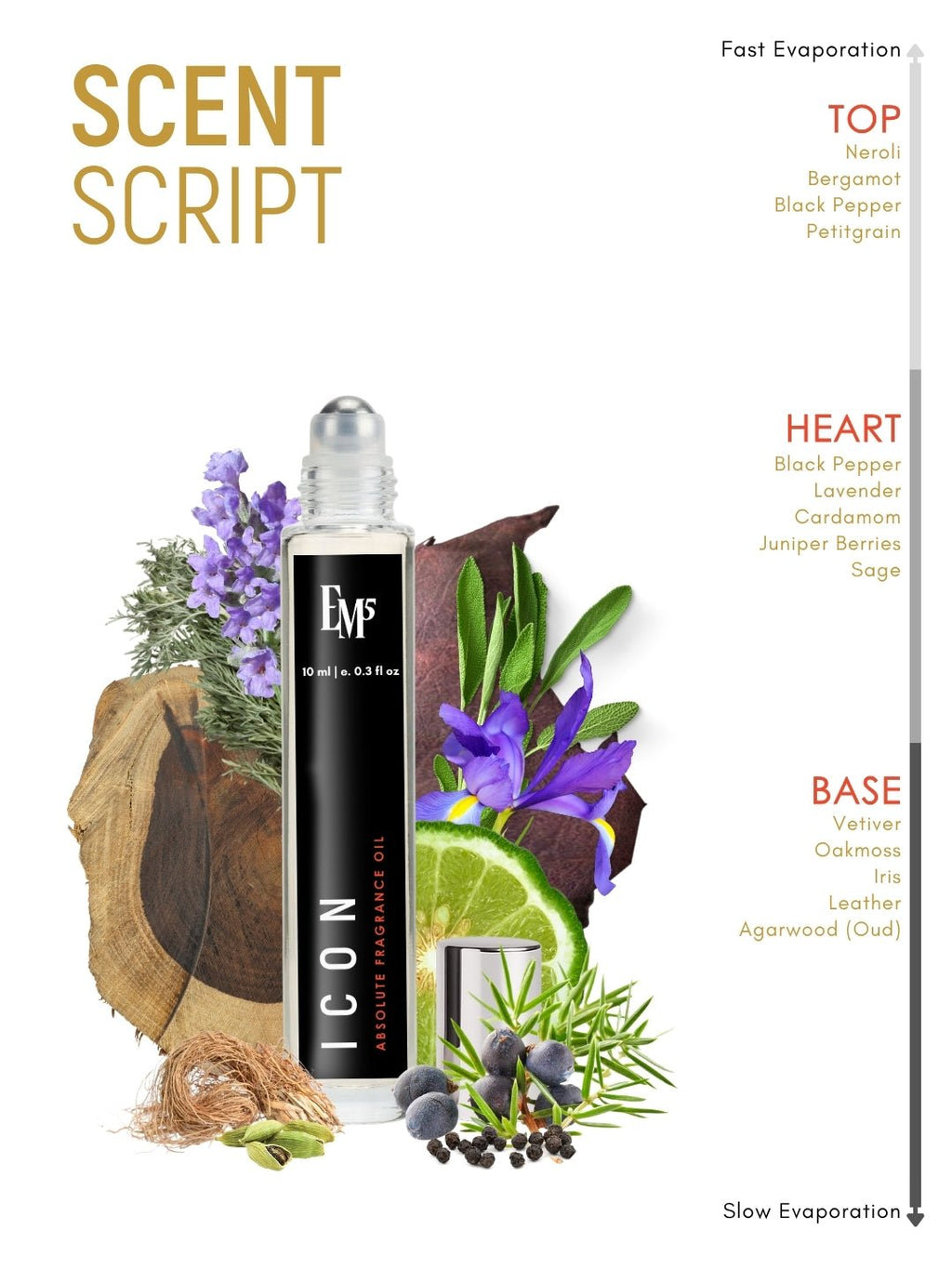 Icon Perfume Roll-On