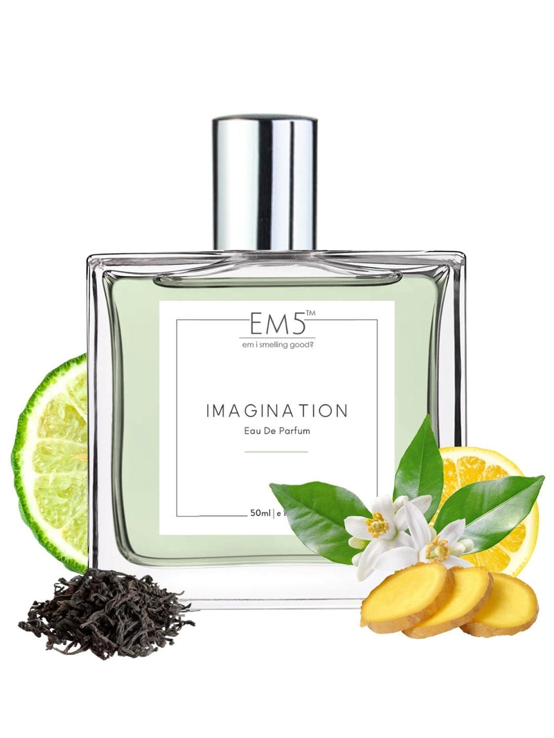EM5™ Imagination Perfume EDP Spray for Men | Citrus Amber Fresh Spricy Fragrance | Luxury Gift for Him | Variants Available: 50 ml Spray / 15 ml Spray