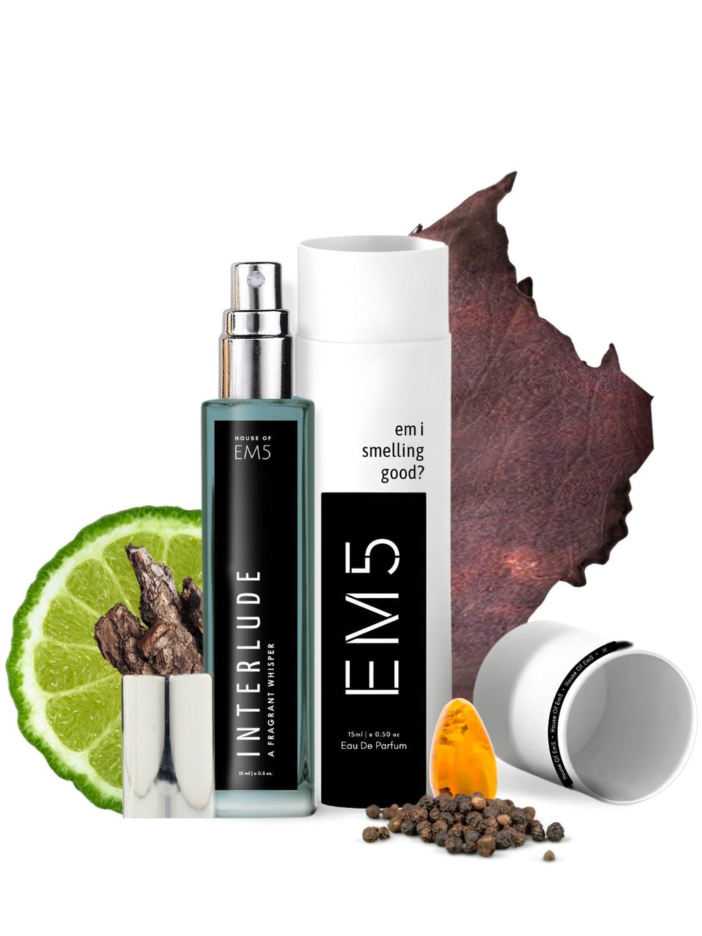 EM5™ Interlude Perfume for Men | Eau de Parfum Spray | Amber Smoky Woody Fragrance Accords | Luxury Gift for Him | Sizes Available: 50 ml / 15 ml - House of EM5