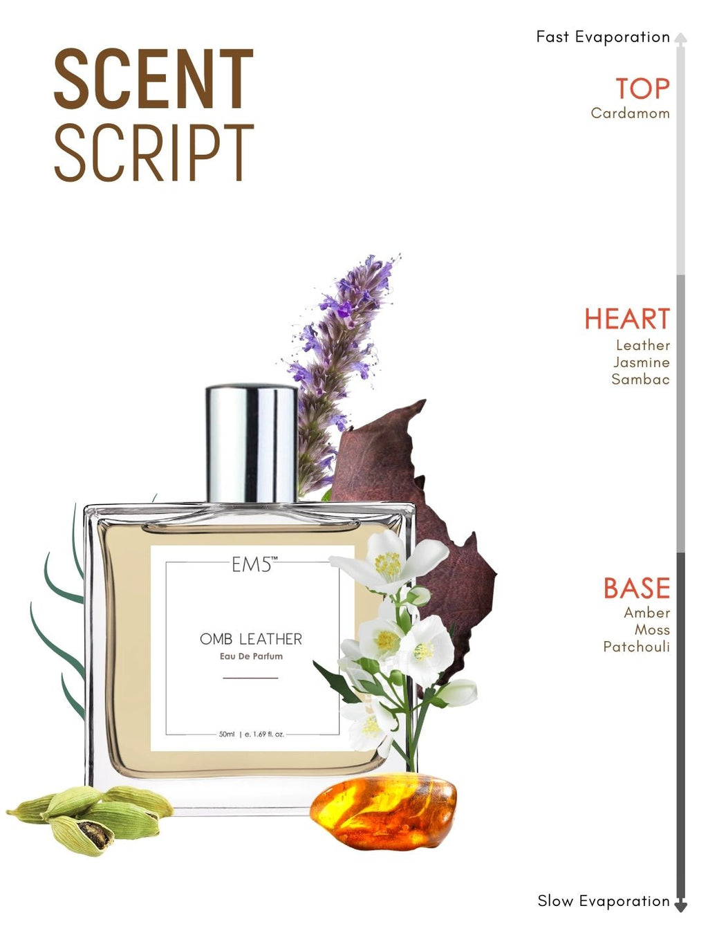 Omb Leather | Eau De Parfum
