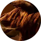 Oud