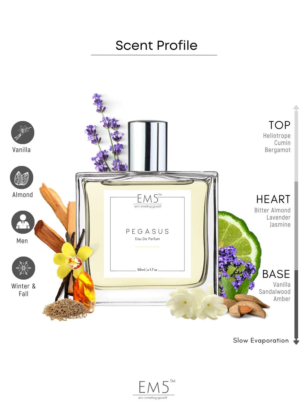 Pegasus | Eau De Parfum