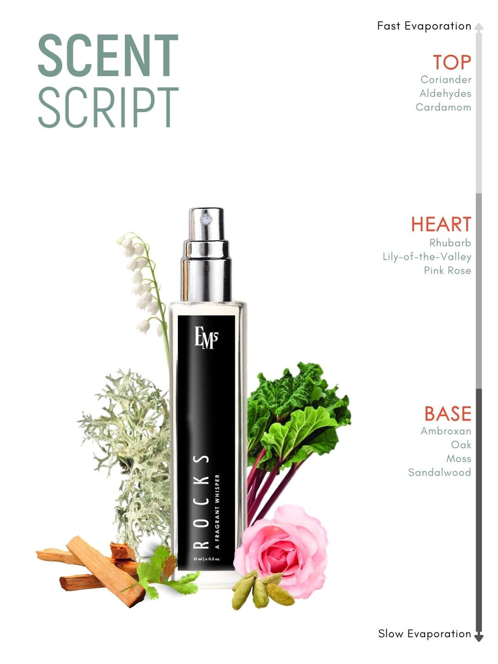 Rocks | Eau De Parfum