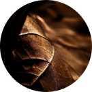 Tobacco