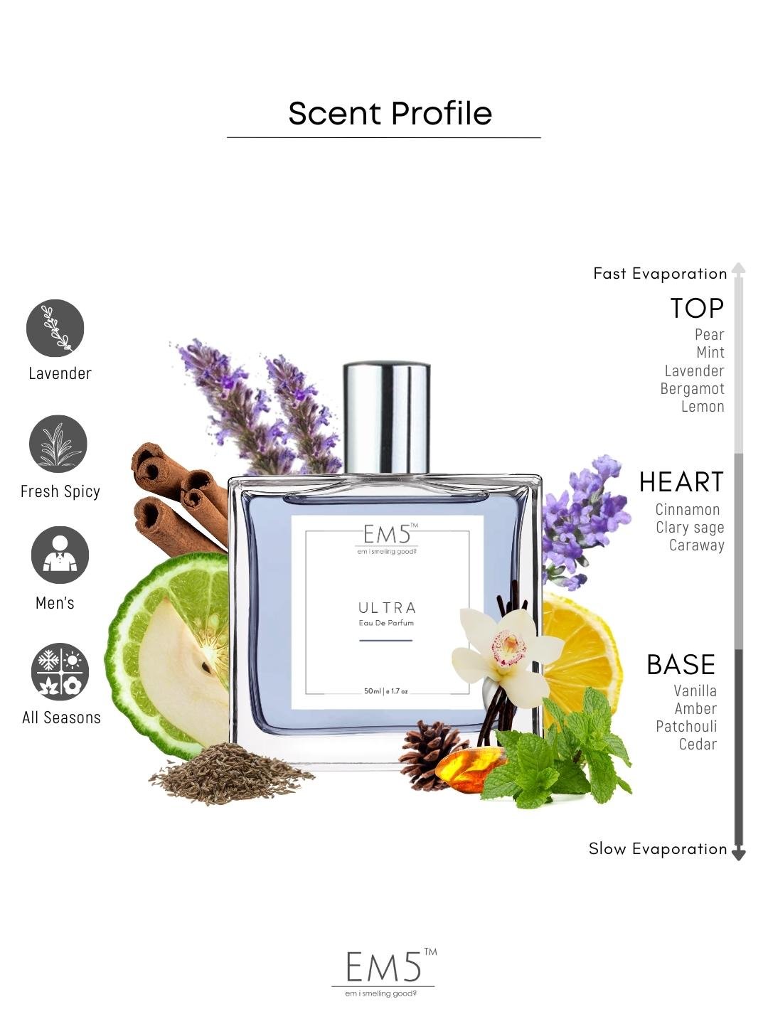 Branded Perfume for Men & Women, India | Long Lasting Strong Fragrance ...