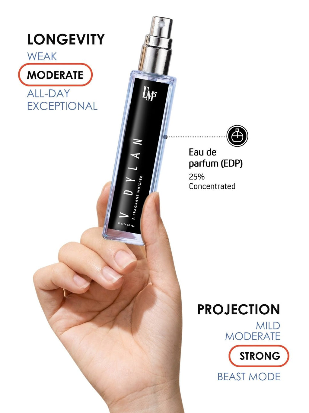 V Dylan | Eau De Parfum