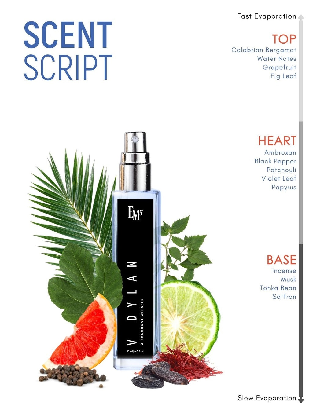 V Dylan | Eau De Parfum