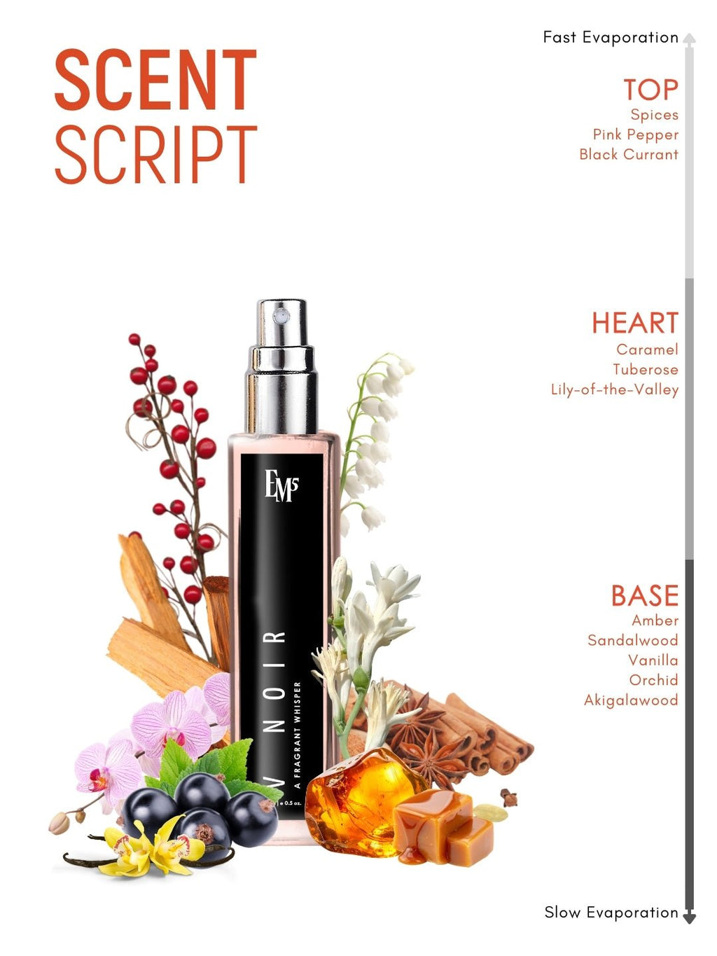V Noir | Eau De Parfum